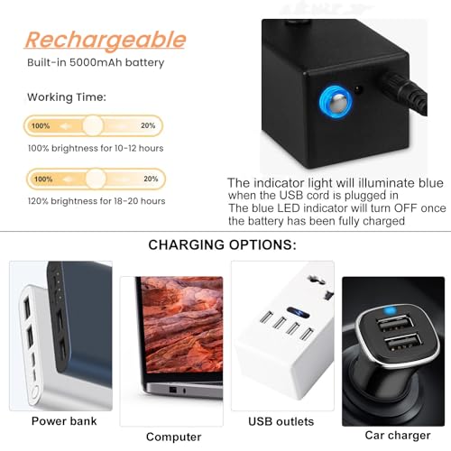 Wireless Rechargeable Picture Light with Remote & Dimmable