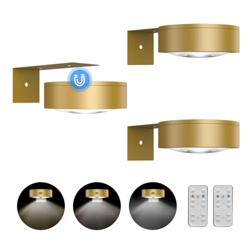 Wireless Dimmable Picture Light Set with Remote - Gold