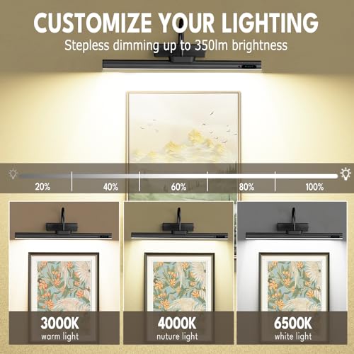 Bridika Battery Operated Wireless Picture Light, 3 Colors