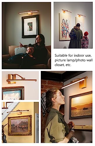 SEEDIQ Dimmable Picture Light 24 Inch Brass Finish