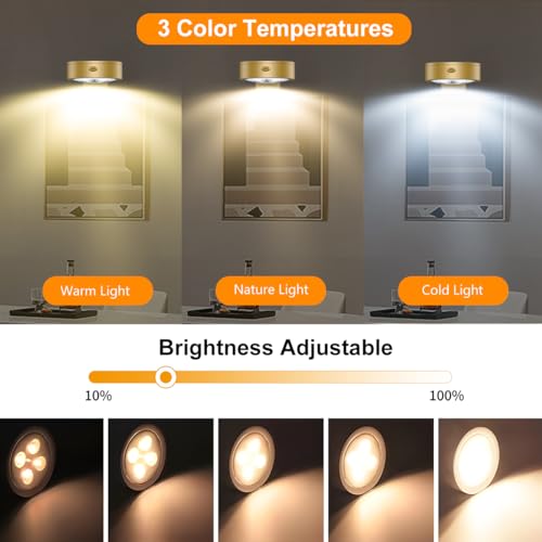 Wireless Dimmable Picture Light Set with Remote - Gold