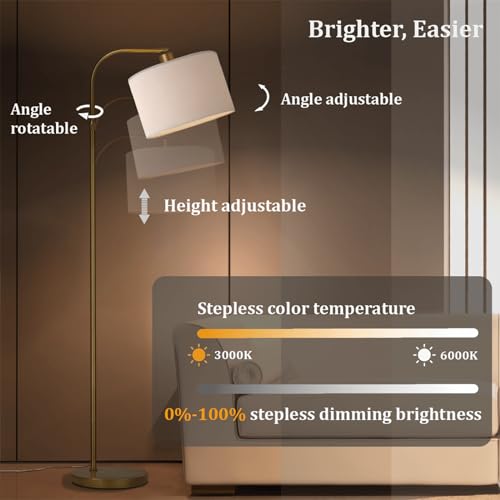 Gold Arc Floor Lamp with Remote Control, Dimmable