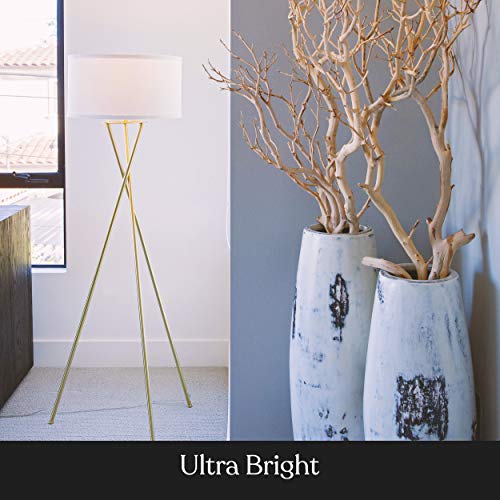 Modern LED floor lamp for living rooms and offices