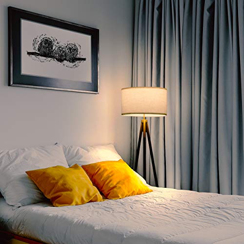 Brightech Levi LED Floor Lamp, Black/Gold, Stylish Room Lighting