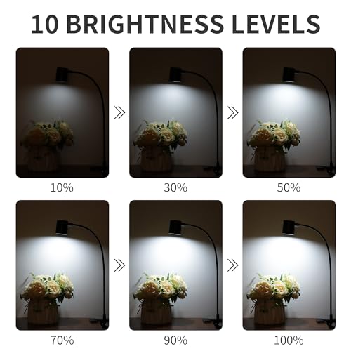 Dott Arts Desk Lamp,USB Clip On Light with 3 Color Modes,LED 10 Levels Brightness Reading Light, 360°Gooseneck Book Light,Eye-Care Reading Lamp for Home Office,Headboards Black
