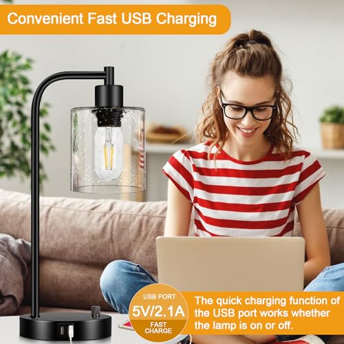Set of 2 Industrial Table Lamps with 2 USB Port, Fully Stepless Dimmable Lamps for bedrooms, Bedside Nightstand Desk Lamps with Seeded Glass Shade for Reading Living Room Office 2 LED Bulb Included