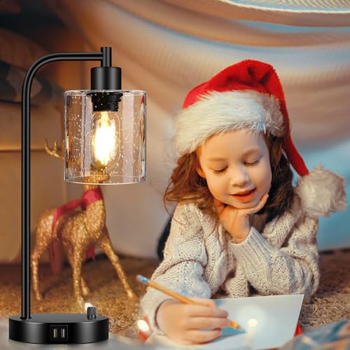 Set of 2 Industrial Table Lamps with 2 USB Port, Fully Stepless Dimmable Lamps for bedrooms, Bedside Nightstand Desk Lamps with Seeded Glass Shade for Reading Living Room Office 2 LED Bulb Included