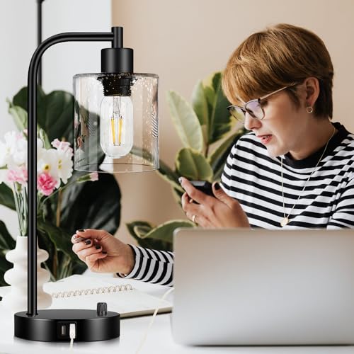 Set of 2 Industrial Table Lamps with 2 USB Port, Fully Stepless Dimmable Lamps for bedrooms, Bedside Nightstand Desk Lamps with Seeded Glass Shade for Reading Living Room Office 2 LED Bulb Included