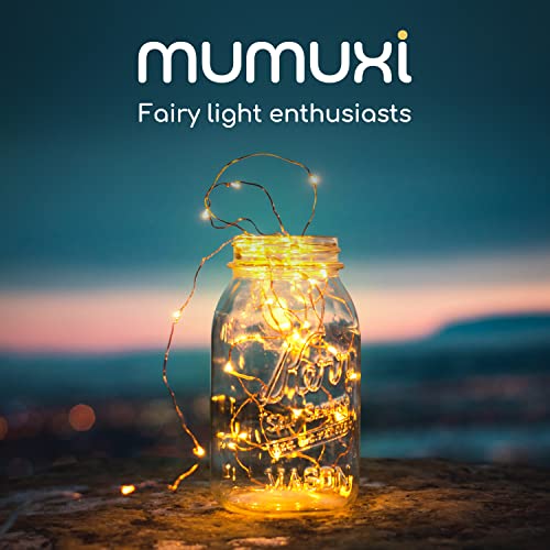 MUMUXI LED Fairy Lights Battery Operated String Lights [12 Pack] 7.2ft 20 Battery Powered LED Mini Lights, Centerpiece Table Decorations, Wedding Party Bedroom Mason Jar Christmas, Warm White