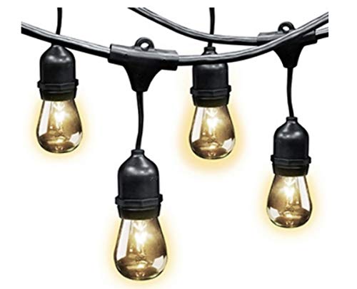 Feit Electric 48' LED Filament String Light Set