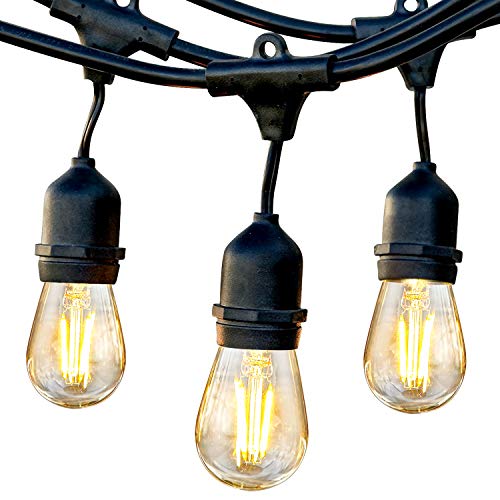 Brightech Ambience Pro - Waterproof LED Outdoor String Lights - Hanging, Dimmable 2W Vintage Edison Bulbs - 48 Ft Commercial Grade Patio Lights Create Cafe Ambience in Your Backyard