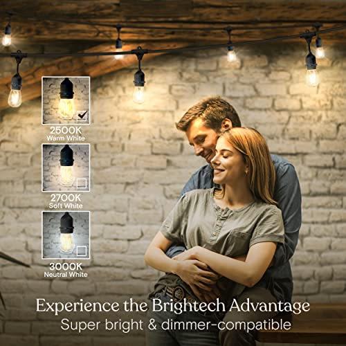 Brightech Ambience Pro - Waterproof LED Outdoor String Lights - Hanging, Dimmable 2W Vintage Edison Bulbs - 48 Ft Commercial Grade Patio Lights Create Cafe Ambience in Your Backyard