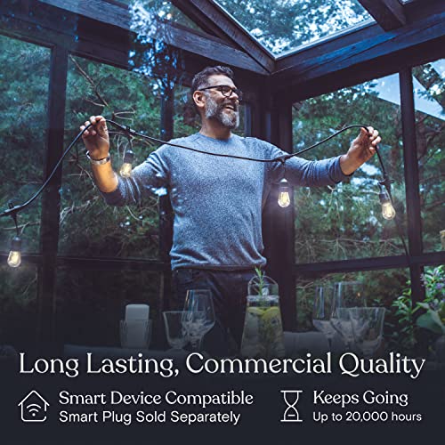 Brightech Ambience Pro - Waterproof LED Outdoor String Lights - Hanging, Dimmable 2W Vintage Edison Bulbs - 48 Ft Commercial Grade Patio Lights Create Cafe Ambience in Your Backyard