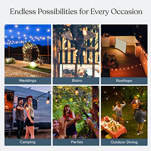 Brightech Ambience Pro - Waterproof LED Outdoor String Lights - Hanging, Dimmable 2W Vintage Edison Bulbs - 48 Ft Commercial Grade Patio Lights Create Cafe Ambience in Your Backyard
