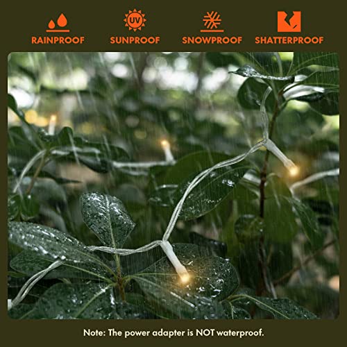 Twinkle Star 300 LED Curtain String Lights, 8 Modes Fairy Hanging Lights for Bedroom, Wedding, Party, Home Garden, Outdoor & Indoor Wall Decorations Twinkle Lights, Warm White