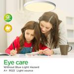 TALOYA Flush Mount 12 Inch LED Ceiling Light