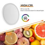 TALOYA Flush Mount 12 Inch LED Ceiling Light