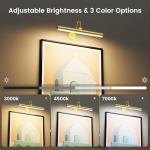 Battery Operated Wireless Picture Light with Remote Gold