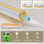 Battery Operated Wireless Picture Light with Remote Gold