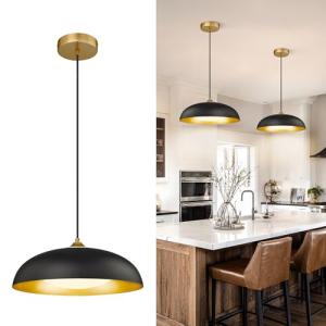 Black and Gold Modern LED Pendant Light Fixture