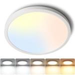 SunRider Dimmable LED Flush Mount Ceiling Light, 12