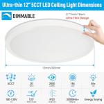 SunRider Dimmable LED Flush Mount Ceiling Light, 12