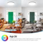 SunRider Dimmable LED Flush Mount Ceiling Light, 12