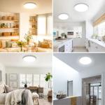 SunRider Dimmable LED Flush Mount Ceiling Light, 12