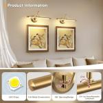 Modern Brass Picture Lights for Artwork Display, LED Swing Arm