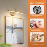 Modern Brass Picture Lights for Artwork Display, LED Swing Arm