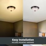 Modern 2-Light Flush Mount Ceiling Light, Alabaster Glass Shade