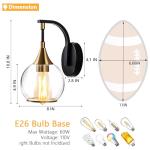 Modern Black and Gold Wall Sconce Light with Clear Glass Shade