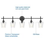 Matte Black Vintage Industrial 5-Light Bathroom Vanity Fixture