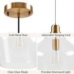 Modern Glass Pendant Light Fixtures - Gold/Clear