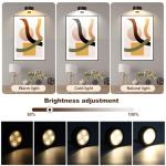 Dimmable Magnetic Picture Lights Set with Remote Control