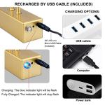 16in Battery Operated Picture Light with Remote Control