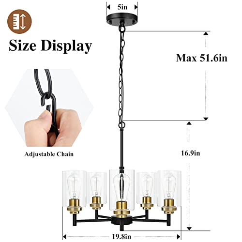 Modern Farmhouse 5-Light Chandelier with Clear Glass Shades