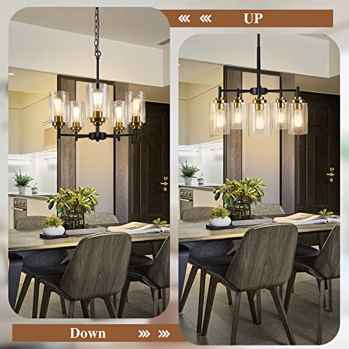 Modern Farmhouse 5-Light Chandelier with Clear Glass Shades