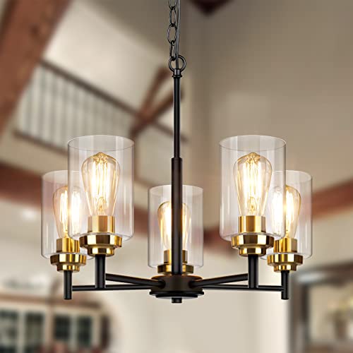 Modern Farmhouse 5-Light Chandelier with Clear Glass Shades