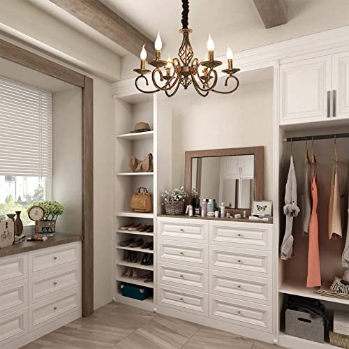 Ganeed 6-Light Rustic Vintage Pendant Chandelier