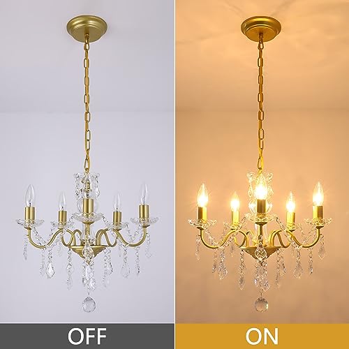 Chanlited Modern 5-Light Gold Chandelier with Glass