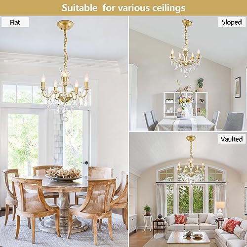 Chanlited Modern 5-Light Gold Chandelier with Glass