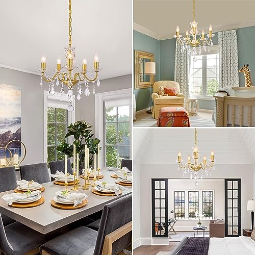 Chanlited Modern 5-Light Gold Chandelier with Glass