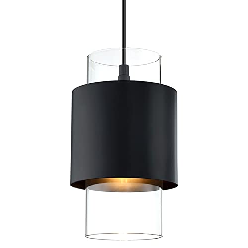 Black Finish Modern Farmhouse Pendant Ceiling Light Fixture