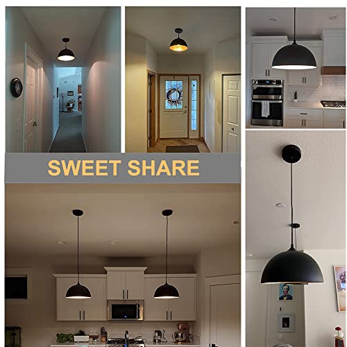 Industrial Pendant Lights, Adjustable Metal Hanging Lamp (2 Pack)