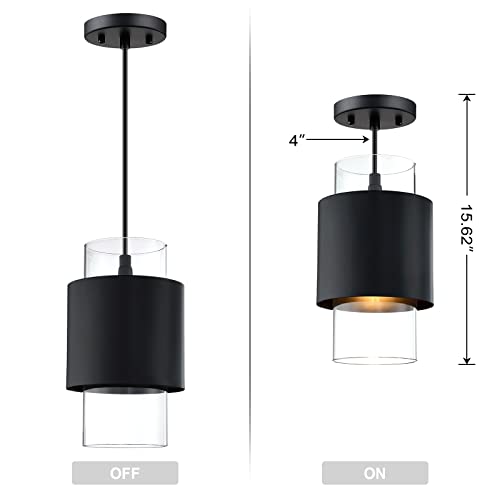 Black Finish Modern Farmhouse Pendant Ceiling Light Fixture