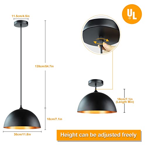 Industrial Pendant Lights, Adjustable Metal Hanging Lamp (2 Pack)