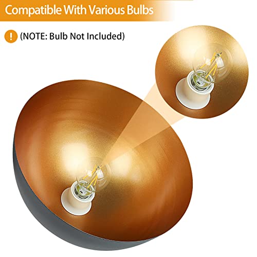 Industrial Pendant Lights, Adjustable Metal Hanging Lamp (2 Pack)