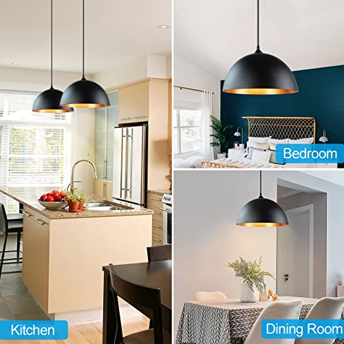 Industrial Pendant Lights, Adjustable Metal Hanging Lamp (2 Pack)