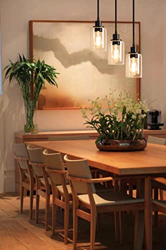 Vintage Industrial 3-Light Pendant Light Fixture, Clear Glass Shade